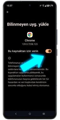 Bilinmeyen kaynaklardan kuruluma izin verin