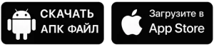 Общая информация о приложении 1xBet